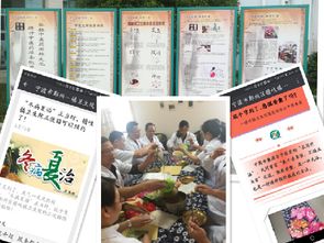 提升中医药服务能力，推广中医适宜技术——构建高效技术推广服务体系