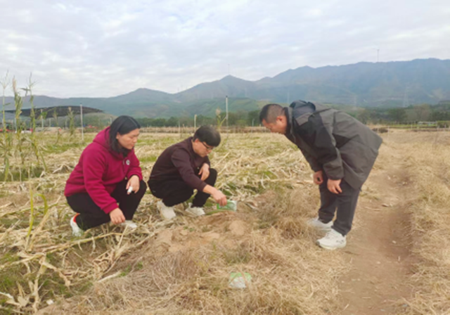 科技特派员 播撒绿色科技种，助力农业高质量发展